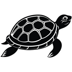 Turtle vector