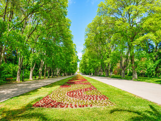 city park in Varna at sunrise morning