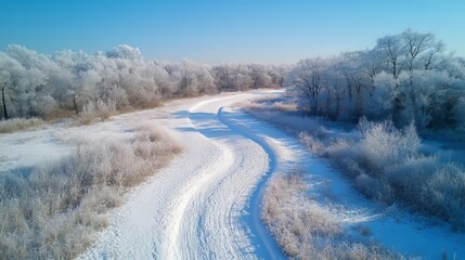 Fototapeta premium picturesque snowy trail winding through a dense frosted forest under a clear blue sky, Generative AI