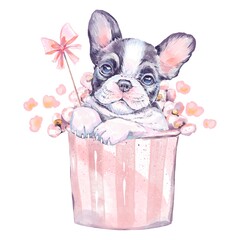 Cute French bulldog puppy sitting in round pink party box with pink popcorn fun festive watercolor clipart for birthday kids celebration design isolated on white adorable dog character illustration