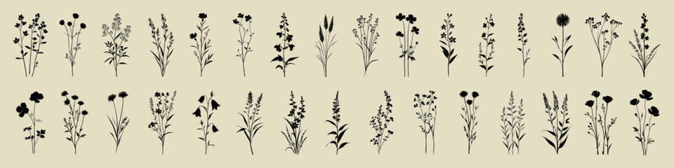 Elegant botanical silhouette collection, isolated vector set