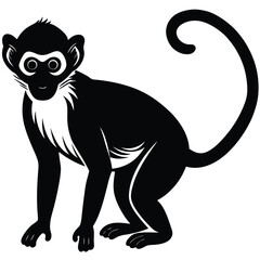 Obraz premium vervet monkey vector
