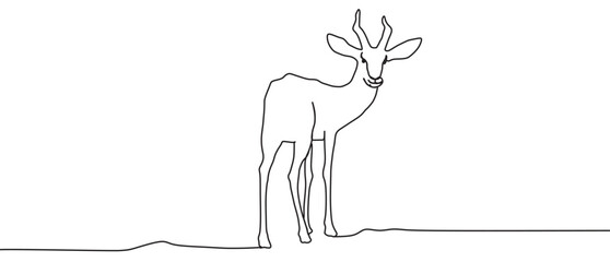 springbok line art with trans...