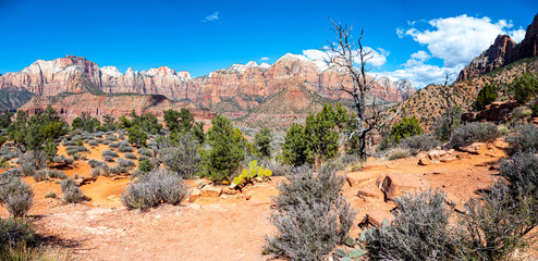 Landscape of the watchman trail of Zion National Park with its impressive mountains close to the...
