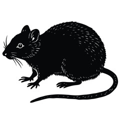 vole vector animal