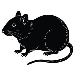vole vector animal