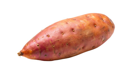 Isolated Sweet Potato on a White Background, Ready to be Cooked