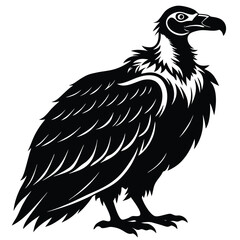 vulture vector sihouette