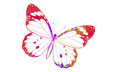 Brightly Colored Butterfly Illustration with Vibrant Abstract Patterns On white transparent background 