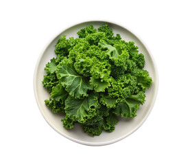 Overhead shot of fresh vibrant green kale on a simple offwhite plate