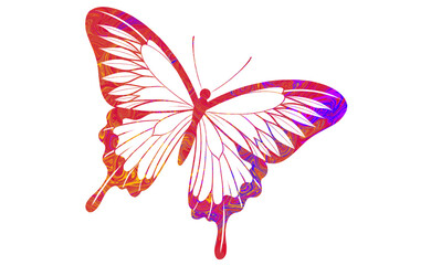 Brightly Colored Butterfly Illustration with Vibrant Abstract Patterns On white transparent background 