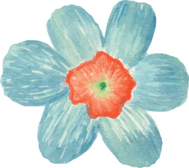 poppy flower isolated on white background