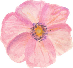 pink flower watercolor hand drawn