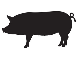 PIG SILHOUETTE