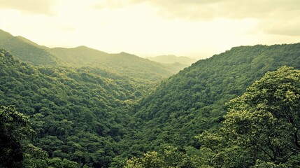mountain landscape in the morning