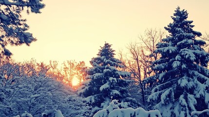 sunset in the mountains
