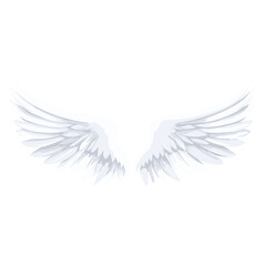 Fototapeta premium White angel wing illustration design wings vector