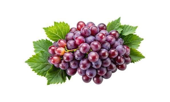 Bunch of fresh ripe red grapes with leaves on a white background