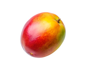 Obraz premium Studio shot of a single ripe mango against a clean white background