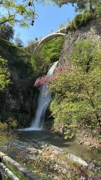 Waterfall in Tbilisi botanical garden side view, vertical