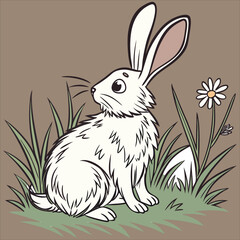 rabbit cartoon vector