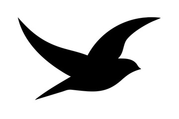 Solid Black Background Simple Dark Texture