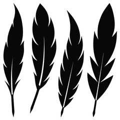 Four Detailed Black Feather Silhouettes on White Background Graphics