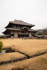 Naklejka premium Tōdai-ji Temple, Nara, Japan