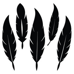 Silhouette of Five Stylized Black Feathers Isolated on a White Background, Decorative Element