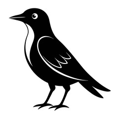 Bird silhouette vector Style with white background