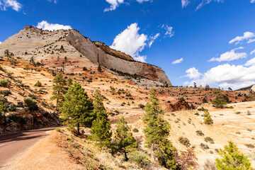 Various views of the landscape surrounding the Checkerboard Mesa area in Zion National Park in Utah