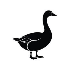 Goose Silhouette, Goose vector Art & Illustration on a white background