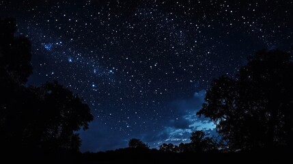 Night sky over trees