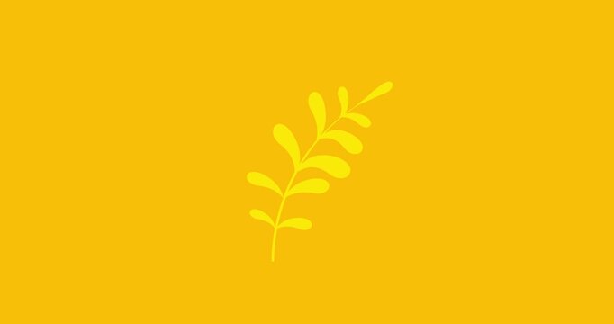Cartoon simple yellow eleven leaves plant fern grow isolated. Business style plant flower leaves good for explainer. Flat vector simple business style infographic animation video motion design graphic
