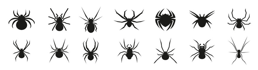Set of black spider icons. Halloween spider icons. Spider silhouette collection vector illustration