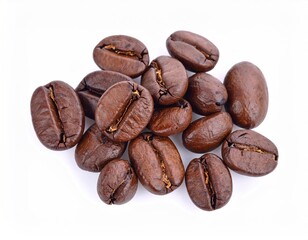 Collection of Fresh and Glossy Coffee Beans