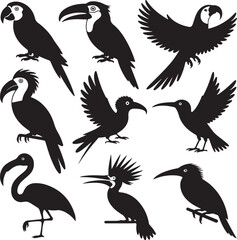 Black Silhouette Vector Bundle of 10 Exotic Birds with Distinctive Features