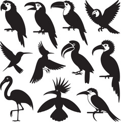 Black Silhouette Vector Bundle of 10 Exotic Birds with Distinctive Features