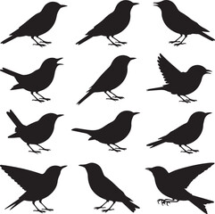 Black Silhouette Vector Bundle of 10 Songbirds in Singing and Flight Poses