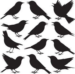 Black Silhouette Vector Bundle of 10 Songbirds in Singing and Flight Poses