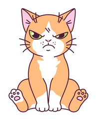 Sitting dissatisfied cat with peach and white coloring on a white background.
