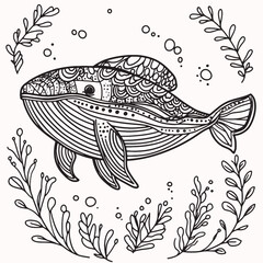 hand drawn vector whale doodles coloring book for kids