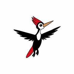 Woodpecker Bird Wings Spread On White