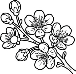 wildflower line art