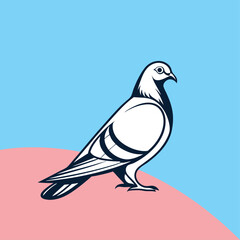 Pigeon