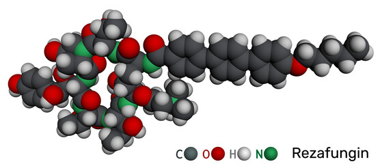 Rezafungin molecule. Antifungal cyclic lipopeptide from echinocandin class. Molecular model. 3D rendering