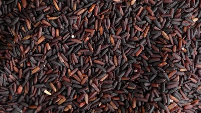 Macro video of black rice kept on rotating disk. Close up video of organic black rice.