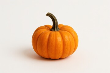 Obraz premium Single Mini Pumpkin Isolated Small Orange Gourd Autumn Harvest Decoration Halloween Thanksgiving Theme Cutout Object White Background Still Life Simple