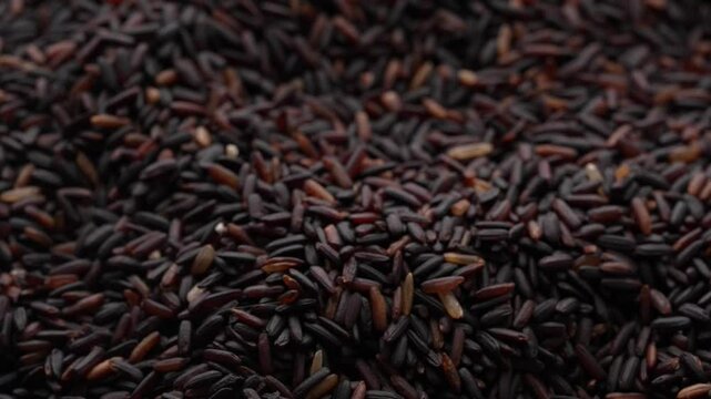 Macro video of black rice kept on rotating disk. Close up video of organic black rice.