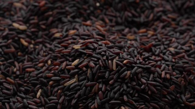 Macro video of black rice kept on rotating disk. Close up video of organic black rice.